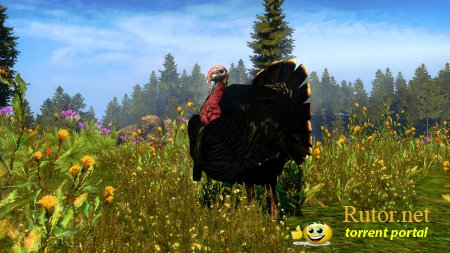 Cabela's Outdoor Adventures (2009) PC | Лицензия