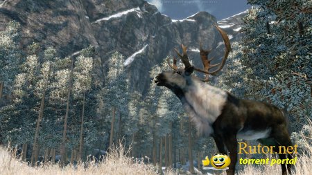 Cabela's Outdoor Adventures (2009) PC | Лицензия