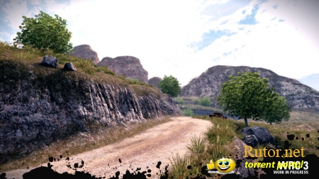 WRC 3 анонсирован