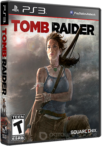 Сколько весит tomb raider 2013 ps3