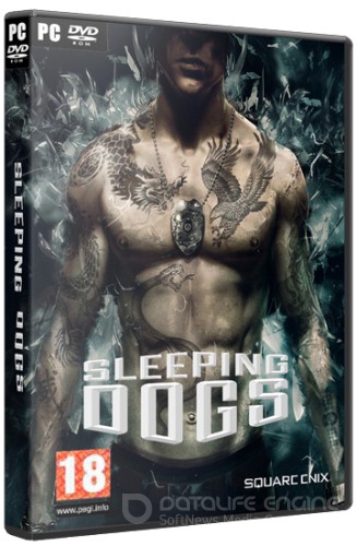 Sleeping dogs limited edition что это