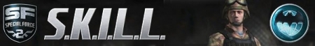 S.K.I.L.L - Special Force 2 [1.0.41755.0] (2013) PC | Online-only