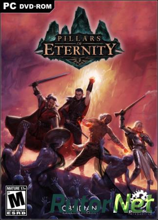 Pillars of Eternity: Royal Edition [v 3.03] (2015) PC | Лицензия