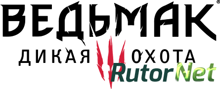 The Witcher 3: Wild Hunt - Game of the Year Edition [2015, RUS(MULTI), Steam-Rip] Fisher