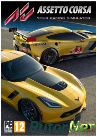Assetto Corsa [v 1.16.2 + DLCs] (2014) PC | Repack от xatab