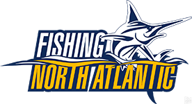 Fishing: North Atlantic (2020) Repack xatab